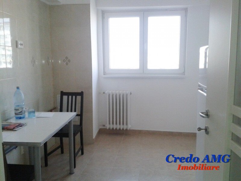 Dorobanti, Iancu de Hunedoara