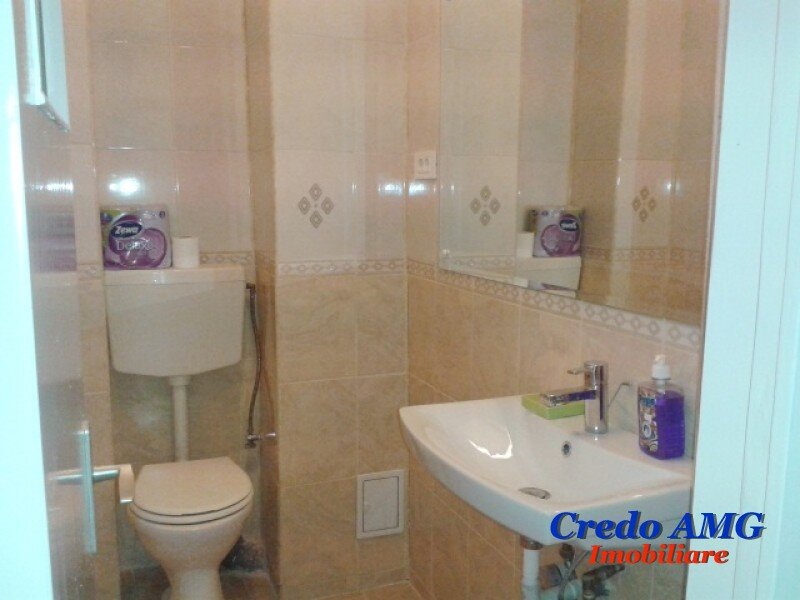 Dorobanti, Iancu de Hunedoara